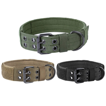 TrailPaw™ – Heavy-Duty Nylon Dog Leash & Collar