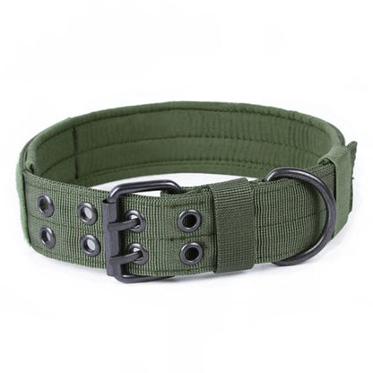 TrailPaw™ – Heavy-Duty Nylon Dog Leash & Collar