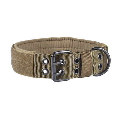 TrailPaw™ – Heavy-Duty Nylon Dog Leash & Collar