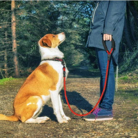 SafeWalk™ – Reflective Nylon Dog Leash