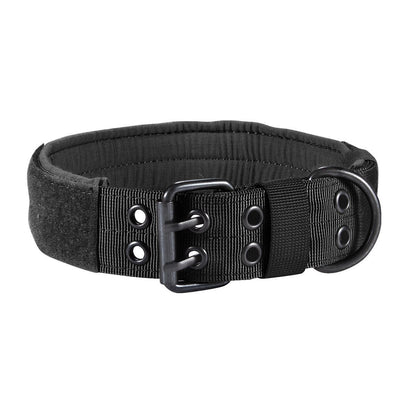 TrailPaw™ – Heavy-Duty Nylon Dog Leash & Collar
