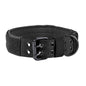 TrailPaw™ – Heavy-Duty Nylon Dog Leash & Collar