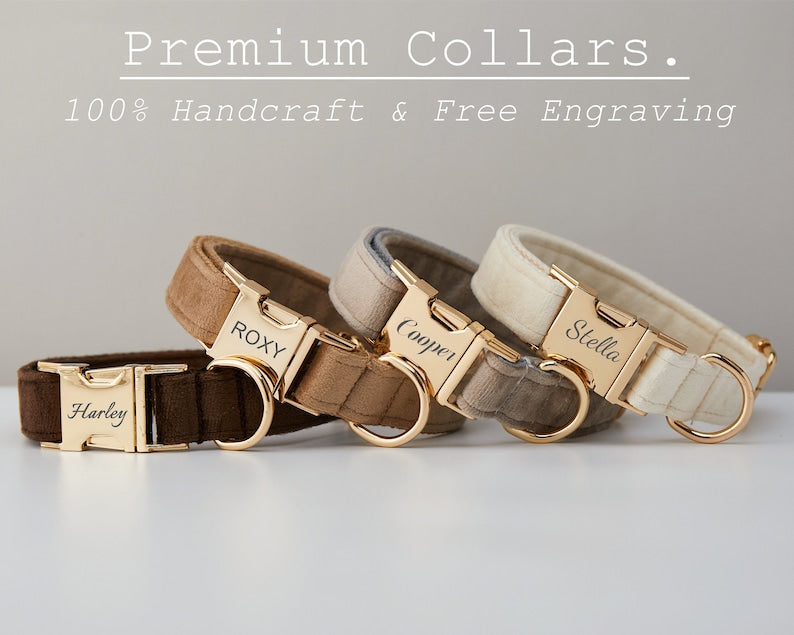 VelvetPaw™ – Personalised Velvet Dog Collar & Leash Set