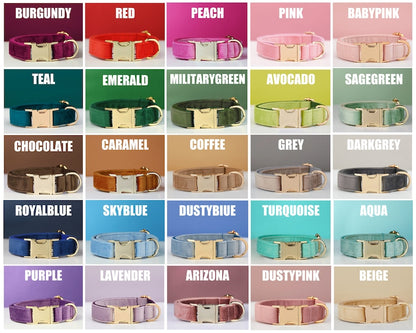 VelvetPaw™ – Personalised Velvet Dog Collar & Leash Set
