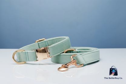 Watermarked mint collar and leash set